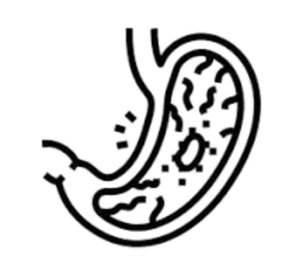 Stomach Ulcers